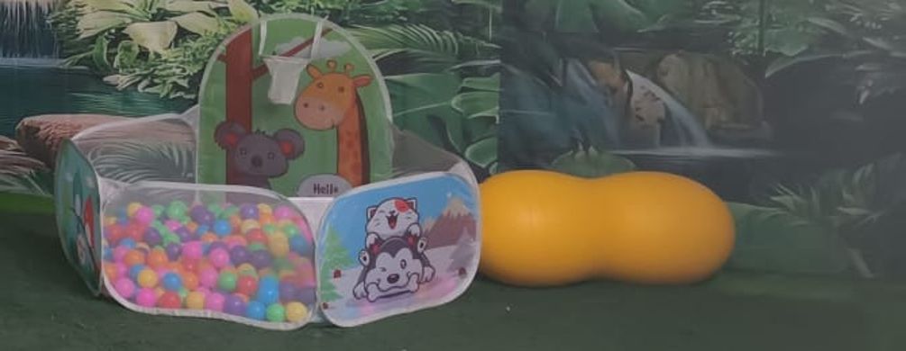 Piscina de bolas y zona de juegos